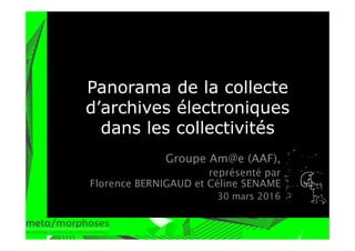 Panorama de la collecte
d’archives électroniques
dans les collectivités
Groupe Am@e (AAF),
représenté par
Florence BERNIGAUD et Céline SENAME
30 mars 2016
 