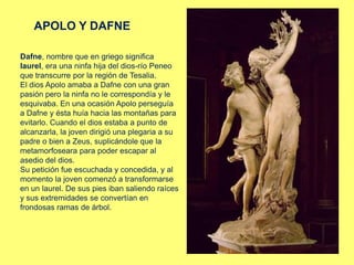 APOLO Y DAFNE
Dafne, nombre que en griego significa
laurel, era una ninfa hija del dios-río Peneo
que transcurre por la región de Tesalia.
El dios Apolo amaba a Dafne con una gran
pasión pero la ninfa no le correspondía y le
esquivaba. En una ocasión Apolo perseguía
a Dafne y ésta huía hacia las montañas para
evitarlo. Cuando el dios estaba a punto de
alcanzarla, la joven dirigió una plegaria a su
padre o bien a Zeus, suplicándole que la
metamorfoseara para poder escapar al
asedio del dios.
Su petición fue escuchada y concedida, y al
momento la joven comenzó a transformarse
en un laurel. De sus pies iban saliendo raíces
y sus extremidades se convertían en
frondosas ramas de árbol.
 