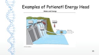 23
Examples of Potienatl Energy Head
 
