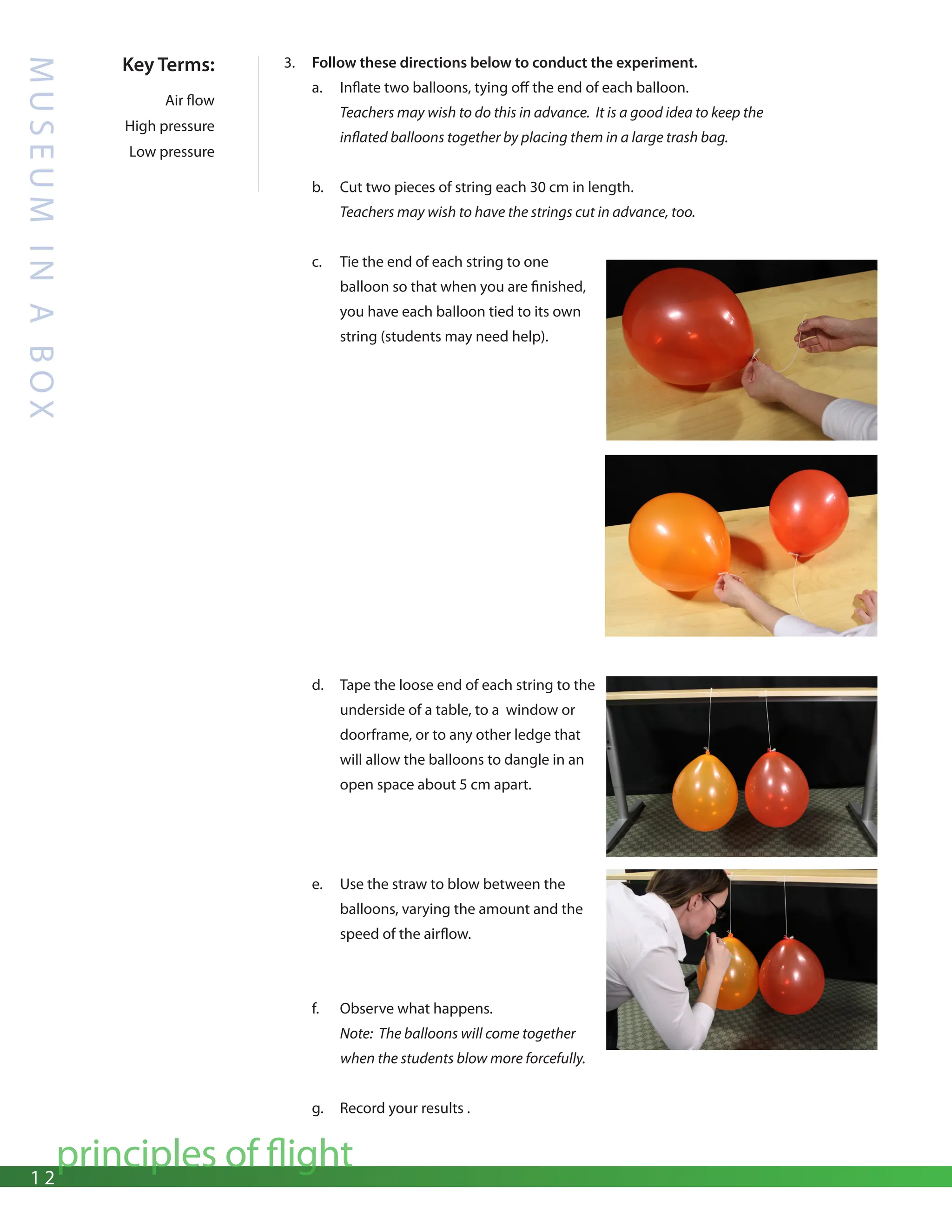 1 2
principles of flight
M
U
S
E
U
M
I
N
A
B
O
X
Key Terms:
Air flow
High pressure
Low pressure
3. Follow these directions below to conduct the experiment.
a. Inflate two balloons, tying off the end of each balloon.
Teachers may wish to do this in advance. It is a good idea to keep the 			
inflated balloons together by placing them in a large trash bag.
b. Cut two pieces of string each 30 cm in length.
Teachers may wish to have the strings cut in advance, too.
c. Tie the end of each string to one
balloon so that when you are finished,
you have each balloon tied to its own
string (students may need help).
d. Tape the loose end of each string to the
underside of a table, to a window or
doorframe, or to any other ledge that
will allow the balloons to dangle in an
open space about 5 cm apart.
e. Use the straw to blow between the
balloons, varying the amount and the
speed of the airflow.
f. Observe what happens.
Note: The balloons will come together
when the students blow more forcefully.
g. Record your results .
 