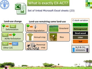 Bernoux EX ACT methods oct 2011