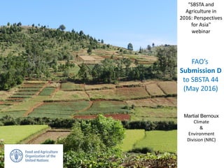 Martial Bernoux
Climate
&
Environment
Division (NRC)
FAO’s
Submission D
to SBSTA 44
(May 2016)
“SBSTA and
Agriculture in
2016: Perspectives
for Asia"
webinar
 