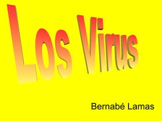 Bernabé Lamas Los Virus 