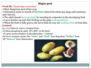 Ber ppt by pushpendra | PPTX