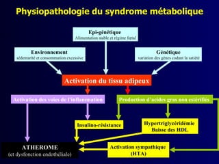 Physiopathologie du syndrome métabolique

                                           Epi-génétique
                                   Alimentation stable et régime fœtal


          Environnement                                                             Génétique
   sédentarité et consommation excessive                                 variation des gènes codant la satiété




                             Activation du tissu adipeux

  Activation des voies de l’inflammation                    Production d’acides gras non estérifiés



                                    Insulino-résistance                     Hypertriglycéridémie
                                                                              Baisse des HDL


      ATHEROME                                         Activation sympathique
(et dysfonction endothéliale)                                   (HTA)
 