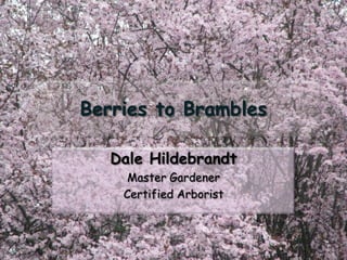 Berries to Brambles
Dale Hildebrandt
Master Gardener
Certified Arborist
 