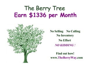 The Berry Tree  Earn $1336 per Month ,[object Object],[object Object],[object Object],[object Object],[object Object],[object Object]