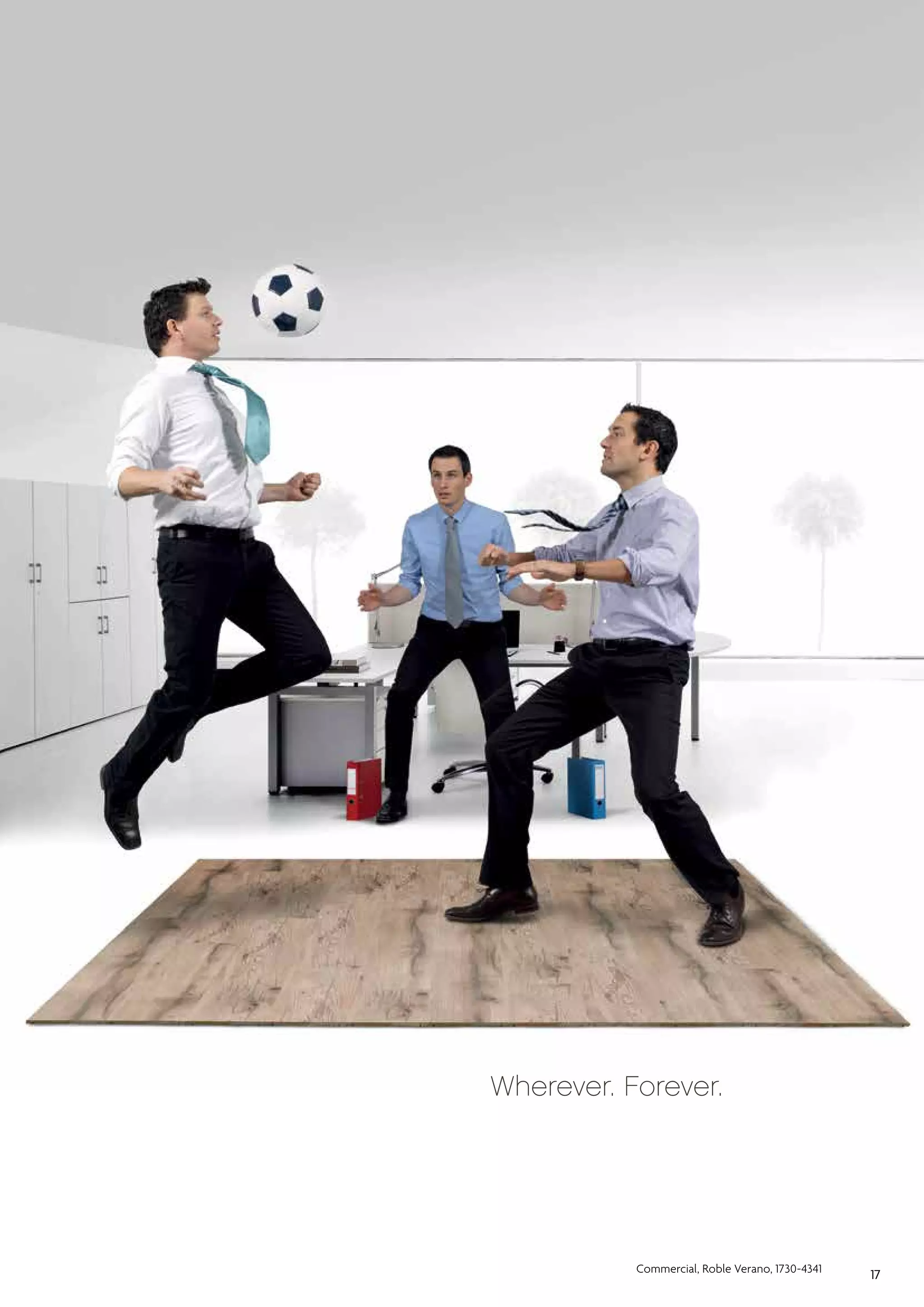 Wherever. Forever.

Commercial, Roble Verano, 1730-4341

17

 