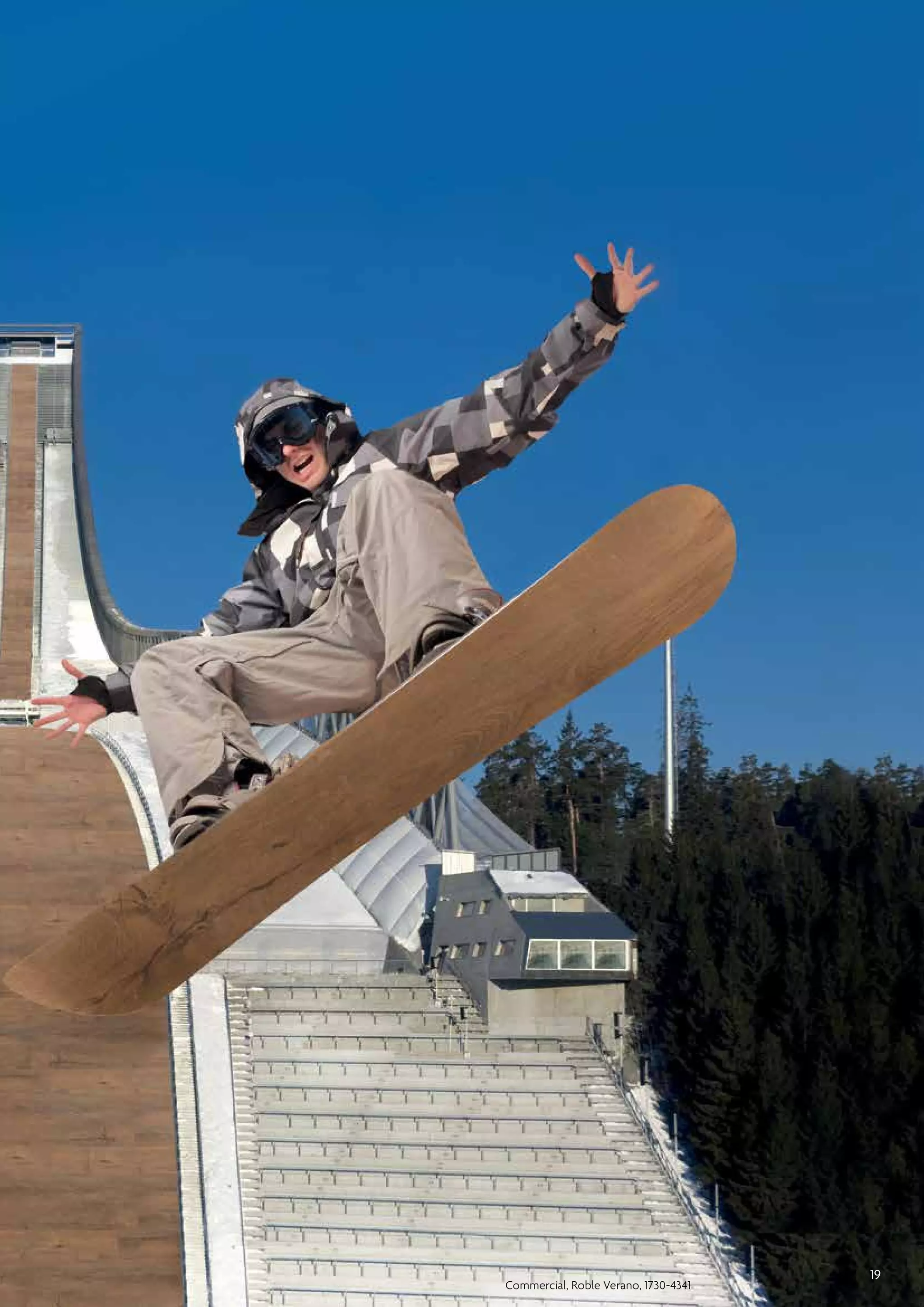 Commercial, Roble Verano, 1730-4341

19

 