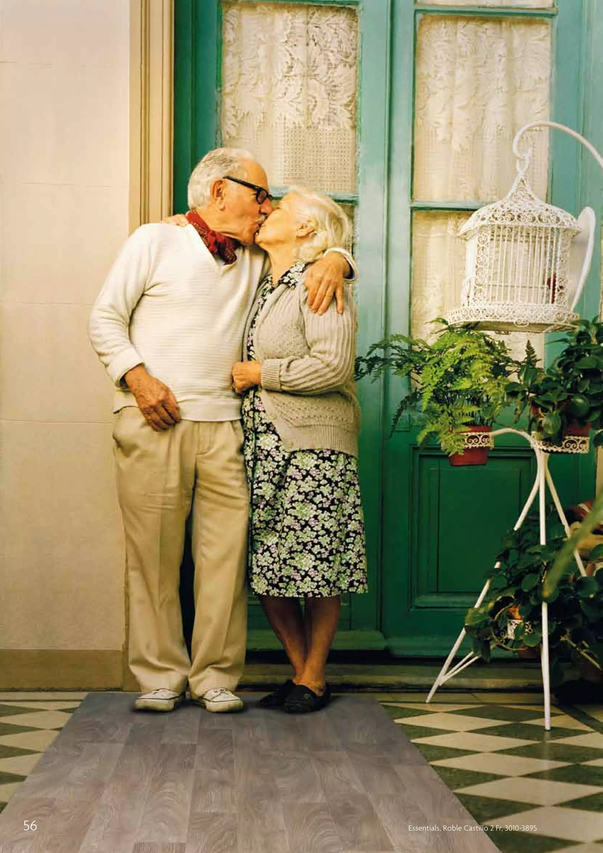 56

Essentials, Roble Castillo 2 Fr, 3010-3895

 