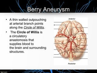 Berry Aneurysm
• A thin walled outpouching
at arterial branch points
along the Circle of Willis.
• The Circle of Willis is
a circulatory
anastomosis that
supplies blood to
the brain and surrounding
structures.
 