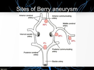 Sites of Berry aneurysm
 