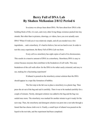 Berry Full of DNA Lab
            By Shahen Melkonian 2/8/12 Period 6
               In science we always hear about DNA. We here about how DNA is the

building block of life, it is ours, and every other living things existence packed into tiny

strands. But other than in pictures, drawings, or videos, have you ever actually seen

DNA? What if I told you it was relatively simple, and all you needed was a few

ingredients… and a strawberry. It’s hard to believe, but not too hard to test. In order to

test this crazy experiment, the Berry Full of DNA Lab was born.

               Every cell in a strawberry has eight copies of each of its chromosomes.

This results in a massive amount of DNA in a strawberry. Strawberry DNA is easy to

extract because enzymes that contribute to the breakdown of cell walls. This easy

breakdown of the cell walls allow for the DNA to be rather easily extracted, and easy to

see, making for a fascinating experiment!

               If ethanol is poured on the strawberry extract solution then the DNA

should appear in a rope-like formation of bubbles.

               The first step in the lab was to place a strawberry in a plastic bag. Then

press the air out of the bag and seal it carefully. Then it was to be mashed carefully for a

couple of minutes. Nextly, detergent solution was added to the bag and the bag was

sealed once more. The strawberry was mashed for another minute to get it ready for the

next step. Then, the strawberry and detergent solution was porn into a test tube through a

funnel that has cheese cloth over it. Finally, a small layer of ethanol was poured on the

liquid in the test tube, and the experiment had been completed.
 