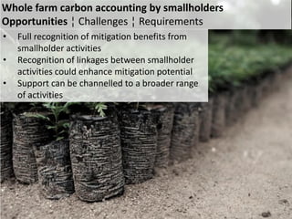 Berry Plan vivo methods oct 2011