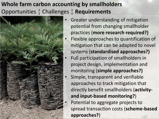 Berry Plan vivo methods oct 2011