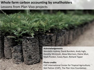 Berry Plan vivo methods oct 2011