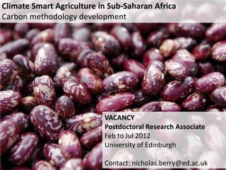 Berry Plan vivo methods oct 2011