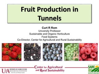 Fruit Production in
Tunnels
Curt R Rom
University Professor
Sustainable and Organic Horticulture
Food Systems
Co-Director, Center for Agricultural and Rural Sustainability
 