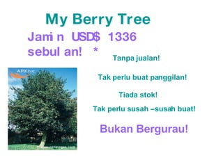 My Berry Tree Jamin USD$ 1336 sebulan! * Tak perlu buat panggilan! Tiada stok! Tak perlu susah –susah buat! Bukan Bergurau! Tanpa jualan! 