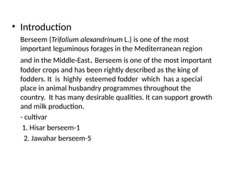 Cultivation practice of Berseem legume.pptx