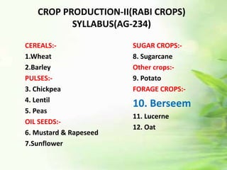 CROP PRODUCTION-II(RABI CROPS)
SYLLABUS(AG-234)
SUGAR CROPS:-
8. Sugarcane
Other crops:-
9. Potato
FORAGE CROPS:-
10. Berseem
11. Lucerne
12. Oat
CEREALS:-
1.Wheat
2.Barley
PULSES:-
3. Chickpea
4. Lentil
5. Peas
OIL SEEDS:-
6. Mustard & Rapeseed
7.Sunflower
 