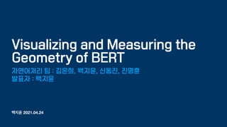 백지윤 2021.04.24
Visualizing and Measuring the
Geometry of BERT
자연어처리 팀 : 김은희, 백지윤, 신동진, 진명훈
발표자 : 백지윤
 