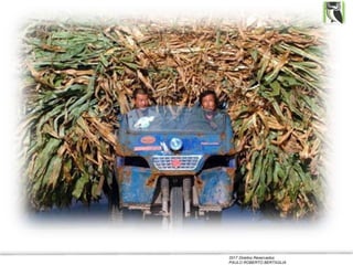 2017 Direitos Reservados
PAULO ROBERTO BERTAGLIA
 