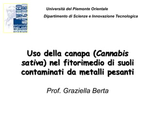 Uso della canapa (Cannabis
sativa) nel fitorimedio di suoli
contaminati da metalli pesanti
Prof. Graziella Berta
Dipartimento di Scienze e Innovazione Tecnologica
Università del Piemonte Orientale
 