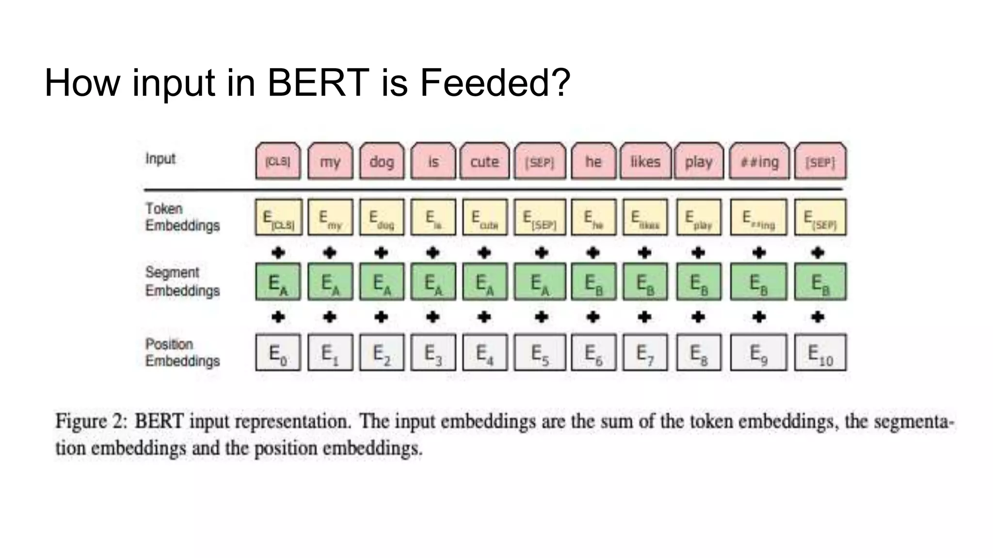 How input in BERT is Feeded?
 