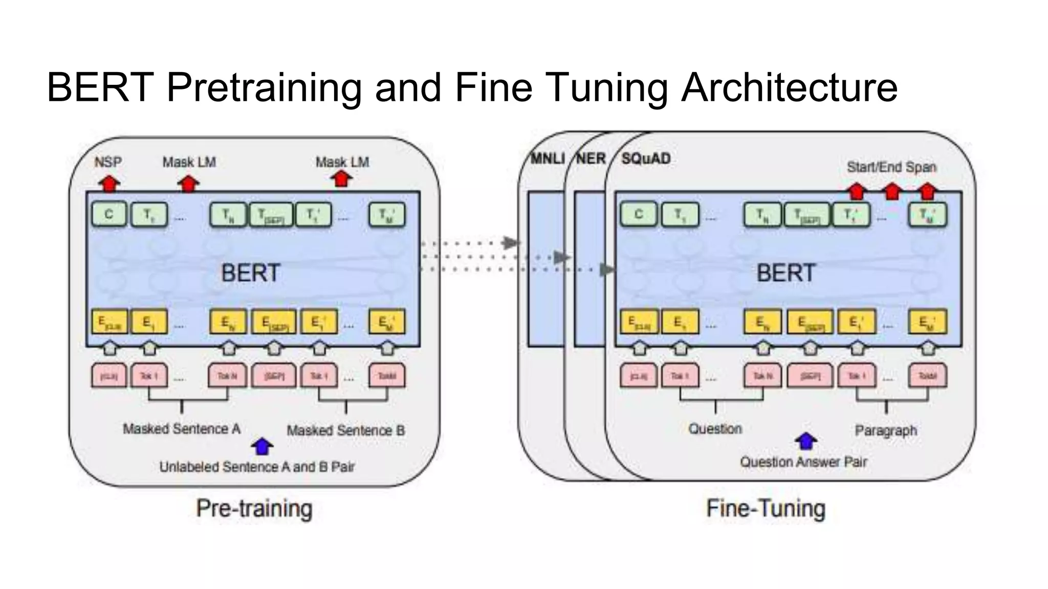 BERT Pretraining and Fine Tuning Architecture
 