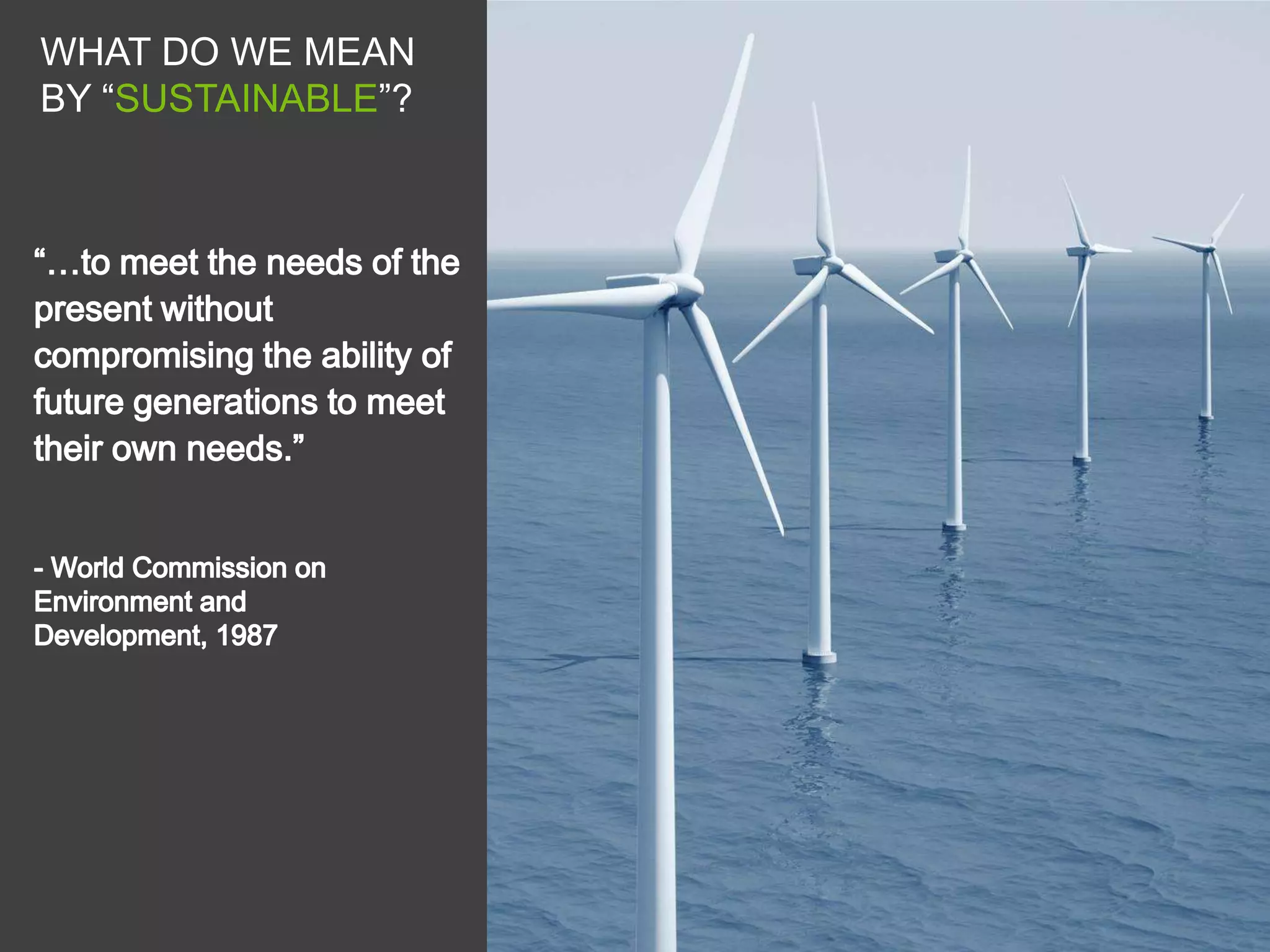 WHAT DO WE MEAN
BY “SUSTAINABLE”?
 