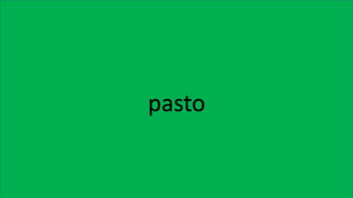 pasto
 