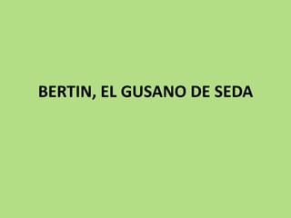 BERTIN, EL GUSANO DE SEDA
 