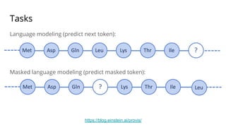 Tasks
Language modeling (predict next token):
Masked language modeling (predict masked token):
https://blog.einstein.ai/provis/
 
