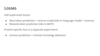 Losses
Self-supervised losses:
● Next-token prediction + reverse model (like in language model + reverse)
● Masked-token prediction (like in BERT)
Protein-speciﬁc loss in a separate experiment:
● Contact prediction + remote homology detection
 