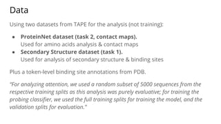 Data
Using two datasets from TAPE for the analysis (not training):
● ProteinNet dataset (task 2, contact maps).
Used for amino acids analysis & contact maps
● Secondary Structure dataset (task 1).
Used for analysis of secondary structure & binding sites
Plus a token-level binding site annotations from PDB.
“For analyzing attention, we used a random subset of 5000 sequences from the
respective training splits as this analysis was purely evaluative; for training the
probing classiﬁer, we used the full training splits for training the model, and the
validation splits for evaluation.”
 