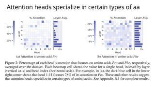 Attention heads specialize in certain types of aa
 