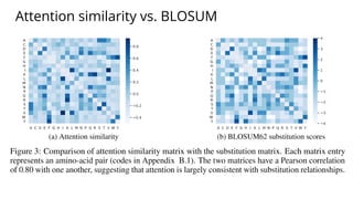 Attention similarity vs. BLOSUM
 