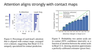 Attention aligns strongly with contact maps
 