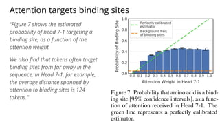 Attention targets binding sites
“Figure 7 shows the estimated
probability of head 7-1 targeting a
binding site, as a function of the
attention weight.
We also ﬁnd that tokens often target
binding sites from far away in the
sequence. In Head 7-1, for example,
the average distance spanned by
attention to binding sites is 124
tokens.”
 