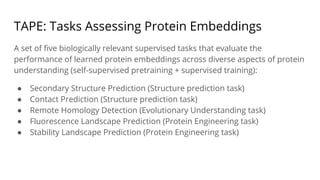 TAPE: Tasks Assessing Protein Embeddings
A set of ﬁve biologically relevant supervised tasks that evaluate the
performance of learned protein embeddings across diverse aspects of protein
understanding (self-supervised pretraining + supervised training):
● Secondary Structure Prediction (Structure prediction task)
● Contact Prediction (Structure prediction task)
● Remote Homology Detection (Evolutionary Understanding task)
● Fluorescence Landscape Prediction (Protein Engineering task)
● Stability Landscape Prediction (Protein Engineering task)
 