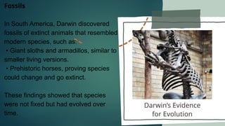 Comprehensive Overview of Darwin's Theory of Evolution and Supporting ...