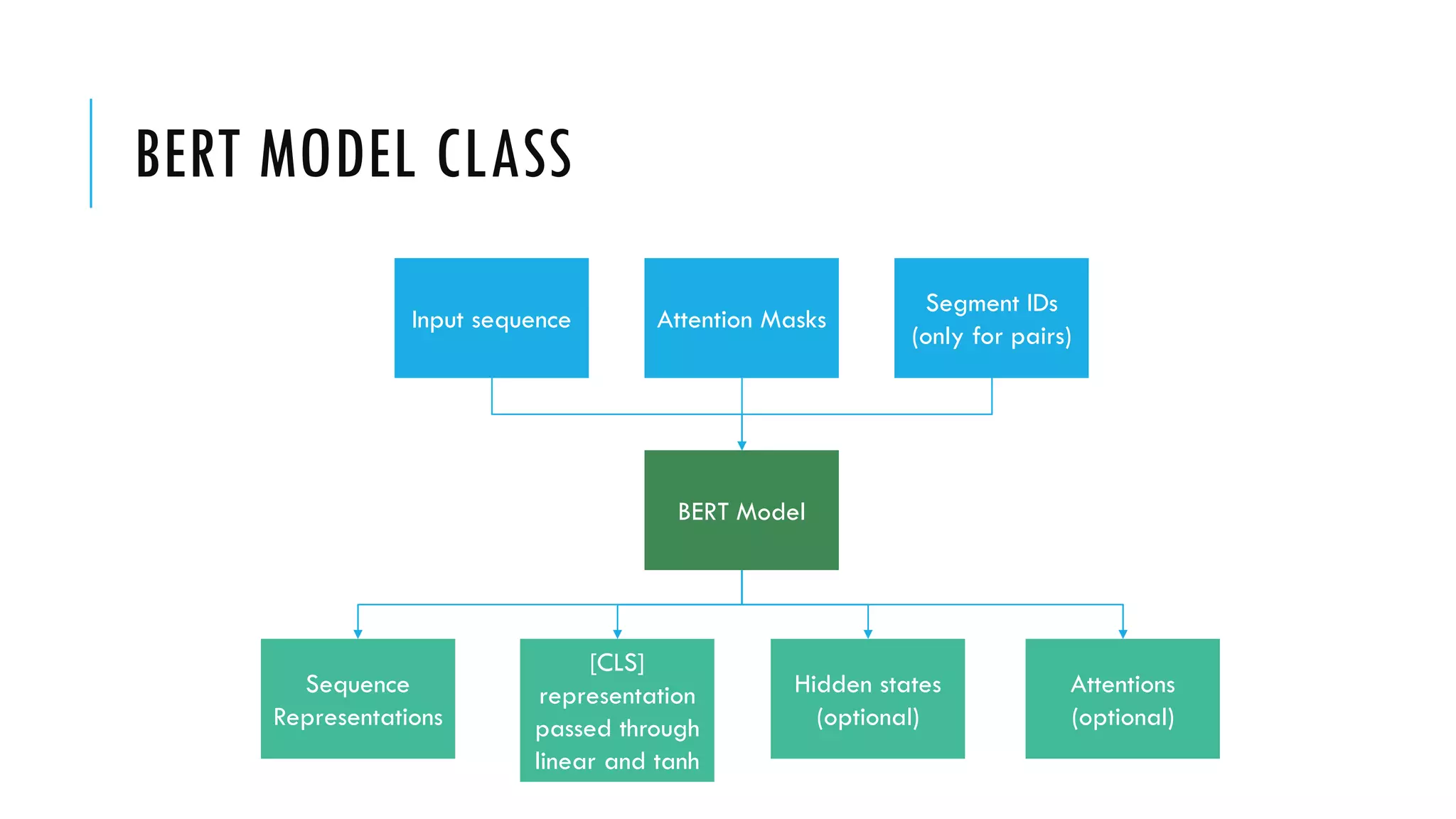 BERT MODEL CLASS
BERT Model
Sequence
Representations
[CLS]
representation
passed through
linear and tanh
Attentions
(optional)
Hidden states
(optional)
Input sequence Attention Masks
Segment IDs
(only for pairs)
 
