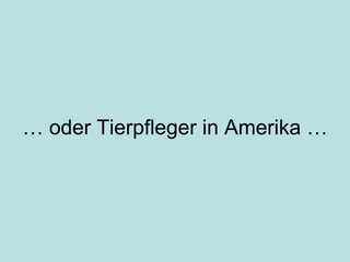 …  oder Tierpfleger in Amerika … 