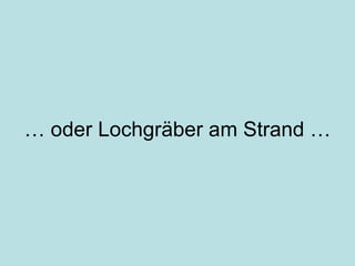 …  oder Lochgräber am Strand … 