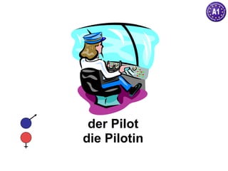der Pilot die Pilotin 