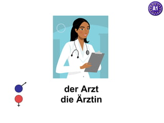 der Arzt die Ärztin 