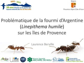 Problématique de la fourmi d’Argentine
(Linepithema humile)
sur les îles de Provence
Laurence Berville
 