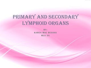 Primary and Secondary
   Lymphoid organs
             BY:
      KAREN MAE BESANA
           MLS 3A
 