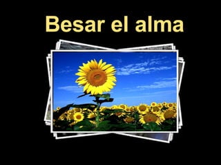 Besar el alma 